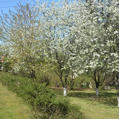 Beskidylla Glamp *
